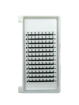 Anime Tower Spike Lash-B