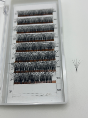 Dense Pre-Fans Eyelash Extensions