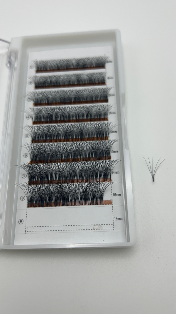 Dense Pre-Fans Eyelash Extensions